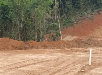 Polícia Ambiental flagra movimentação de solo e desmatamento