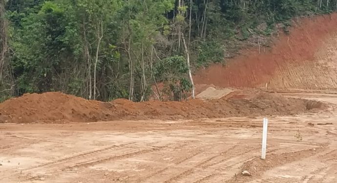 Polícia Ambiental flagra movimentação de solo e desmatamento