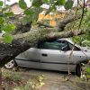 Chuva forte e ventania provocam alagamentos e quedas de árvores em Resende