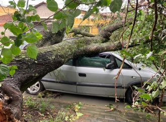 Chuva forte e ventania provocam alagamentos e quedas de árvores em Resende