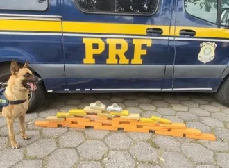 Passageira de ônibus é presa com quase 30 kg de maconha em Piraí