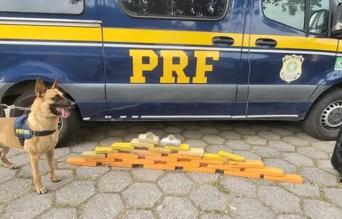 Passageira de ônibus é presa com quase 30 kg de maconha em Piraí