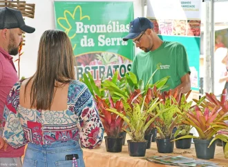 Paty do Alferes recebe 18ª Exposição de Bromélias e Orquídeas