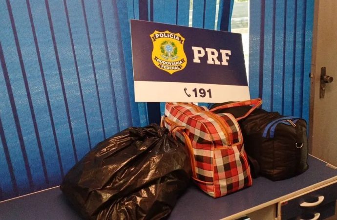 Quase 70 kg de cabelo humano são apreendidos sem nota fiscal em Barra Mansa