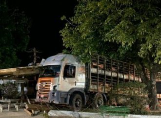 Caminhão com carga viva de porcos invade praça em Valença