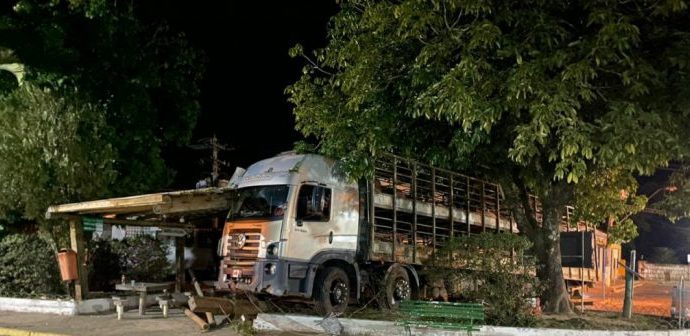 Caminhão com carga viva de porcos invade praça em Valença