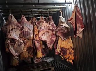Polícia Civil realiza operação contra empresa de Três Rios que comercializou 800 toneladas de carne estragada