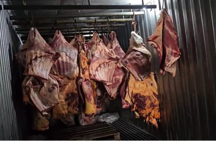 Polícia Civil realiza operação contra empresa de Três Rios que comercializou 800 toneladas de carne estragada
