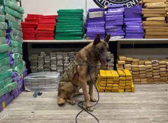 Homem é flagrado pela PF com 2,3 toneladas de drogas em Piraí