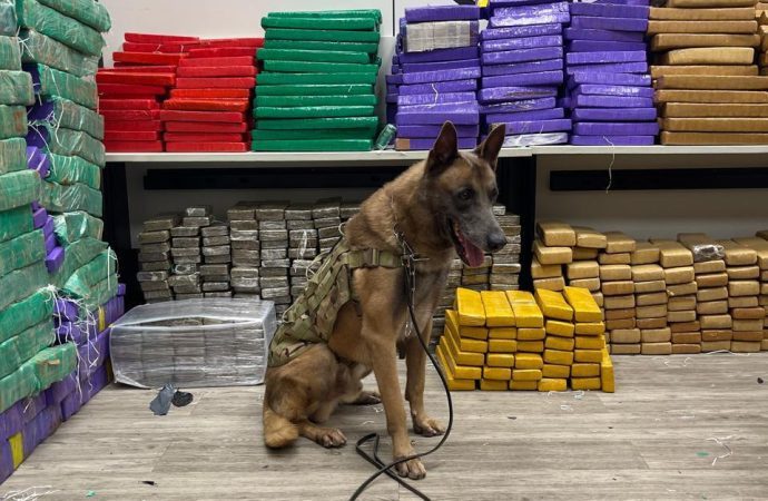 Homem é flagrado pela PF com 2,3 toneladas de drogas em Piraí