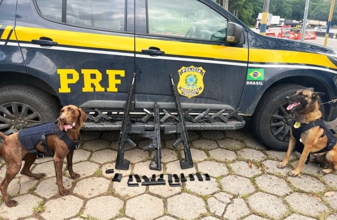 PRF apreende fuzis e pistolas na rodovia em Piraí