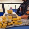 Apreensão de drogas na Rodoviária de Sapucaia