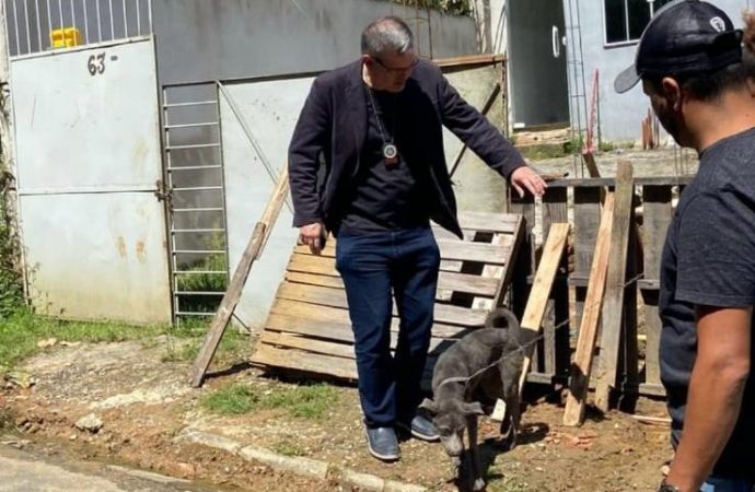 Cachorro vítima de maus-tratos em Piraí é resgatado