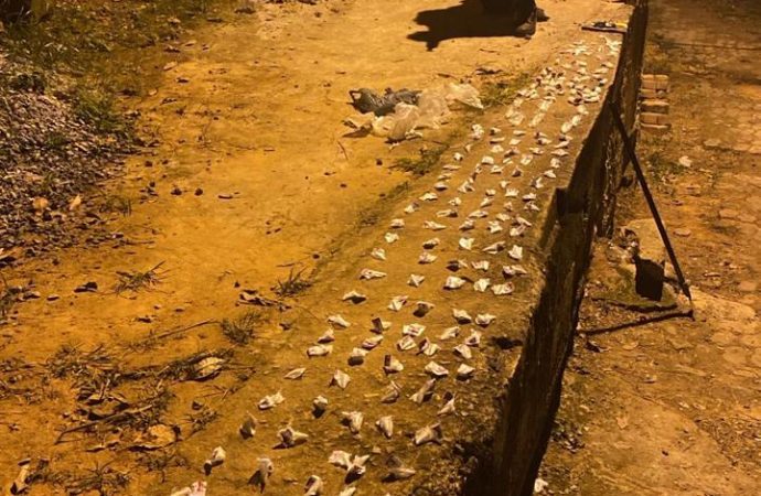 Polícia Militar apreende drogas escondidas em área de mata no Ladeira das Palmeiras