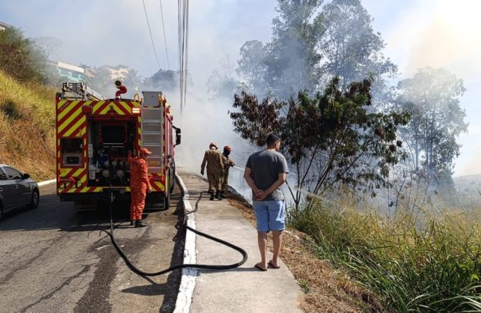 Suspeito de incendiar vegetação é detido pela Guarda Ambiental