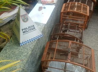 Aves da fauna silvestre que estavam sendo mantidas em cativeiro são apreendidas em Três Rios