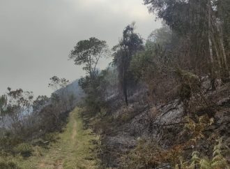 Idoso é preso após provocar incêndio em área de mata em Três Rios