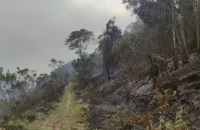 Idoso é preso após provocar incêndio em área de mata em Três Rios