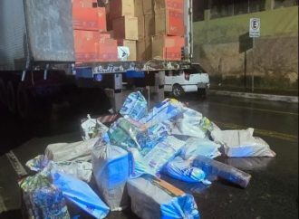 Caminhoneiro é preso com 777 quilos de maconha escondidos em carga de panetones na BR-393