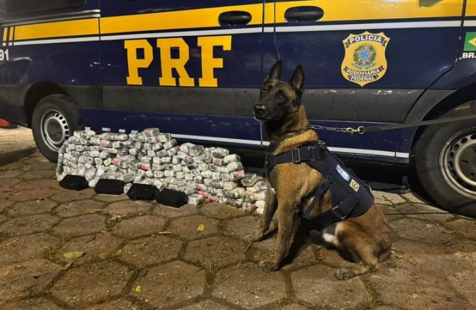 PRF apreende 71 quilos de drogas na Via Dutra, em Piraí