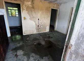 Homem é preso por maus-tratos a mais de 20 animais em Vassouras