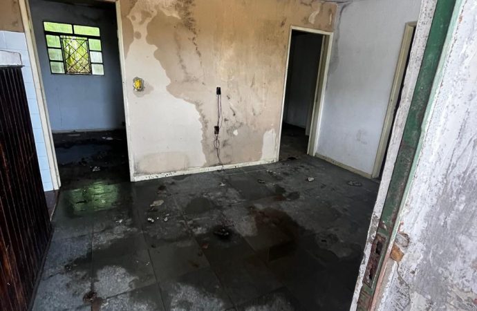 Homem é preso por maus-tratos a mais de 20 animais em Vassouras