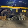 Cerca de 50 kg de maconha são apreendidos na Via Dutra, em Piraí