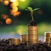 Sul Fluminense entra na rota de projeto bilionário da economia verde
