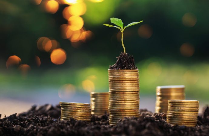 Sul Fluminense entra na rota de projeto bilionário da economia verde