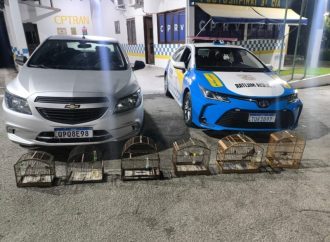 BPRv apreende aves silvestres transportadas irregularmente em Piraí