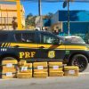 PRF apreende cerca de 200 Kg de maconha e detém motorista na Dutra