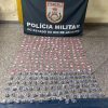 Polícia Militar apreende mais de 300 porções de drogas no Vale do Ipiranga, em Barra do Piraí