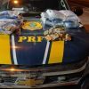 Motorista é preso com cerca de 32 quilos de haxixe durante fiscalização na BR-393, em Paraíba do Sul